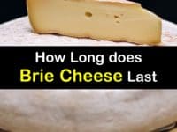 How Long does Brie Last titleimg1