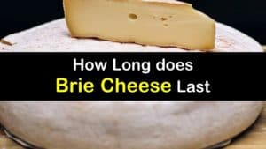 How Long does Brie Last titleimg1