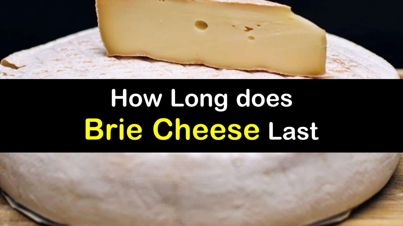 Brie Shelf Life When does Brie Go Bad