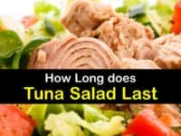 How Long does Tuna Salad Last titleimg1