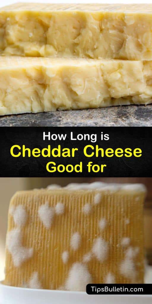 Extend the shelf life of your cheddar cheese as well as other hard and soft cheeses like gouda, gruyere, mozzarella, feta, and cream cheese. This guide tells you which cheeses require plastic wrap as opposed to wax paper and has some unique methods to keep it all fresh. #cheddar #cheese #fresh