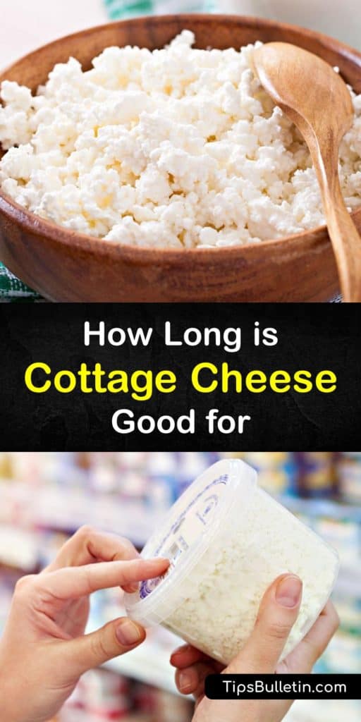 How long does cottage cheese last? Discover the best ways to store this curd cheese to prevent food poisoning by keeping it in an airtight container in the fridge for a couple of days or freezing it in freezer bags for longer storage. #fresh #cottage #cheese #storage