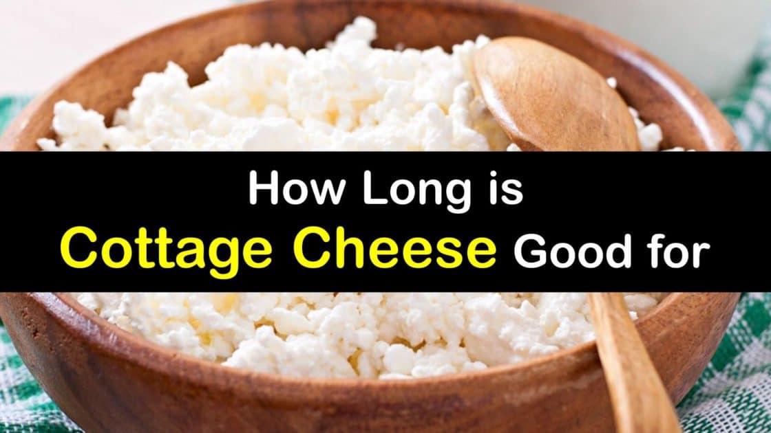 Lifespan of Cottage Cheese How to Keep Cottage Cheese Fresh
