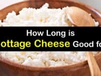 How Long is Cottage Cheese Good for titleimg1