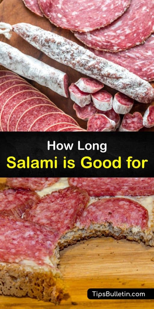Figure out how to tell when dry salami and cold cuts, such as pepperoni, bologna, and other deli meat, have gone bad with this food storage guide. Only eat meats of the best quality by avoiding room temperature, wrapping them in plastic wrap, and discarding white mold. #storage #salami #fresh