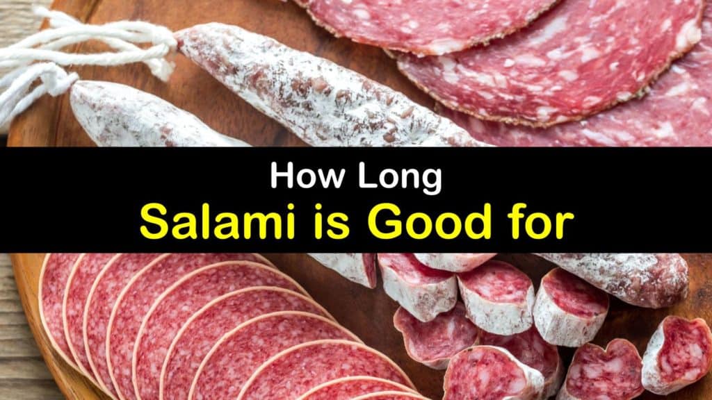 How Long Can Salami Sit Out? 