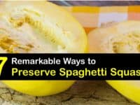 How to Preserve Spaghetti Squash titleimg1