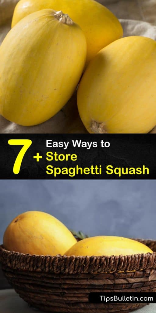 Utilize these tips to store raw or cooked spaghetti squash in a dry place at room temperature in your home. These tips help determine if the rind is fresh, when to use a freezer bag or airtight container, and a recipe that only requires olive oil and a baking sheet. #storing #spaghetti #squash
