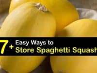 How to Store Spaghetti Squash titleimg1