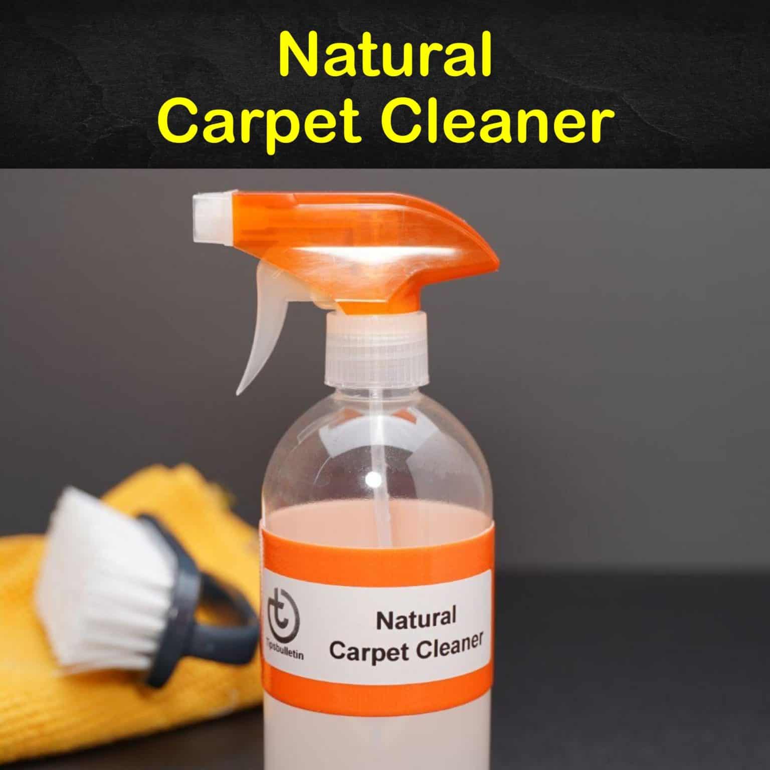 7 Simple Organic Carpet Cleaner Recipes