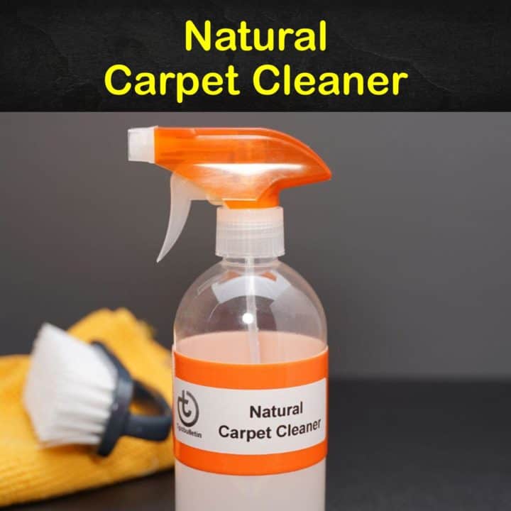 Natural Carpet Cleaner