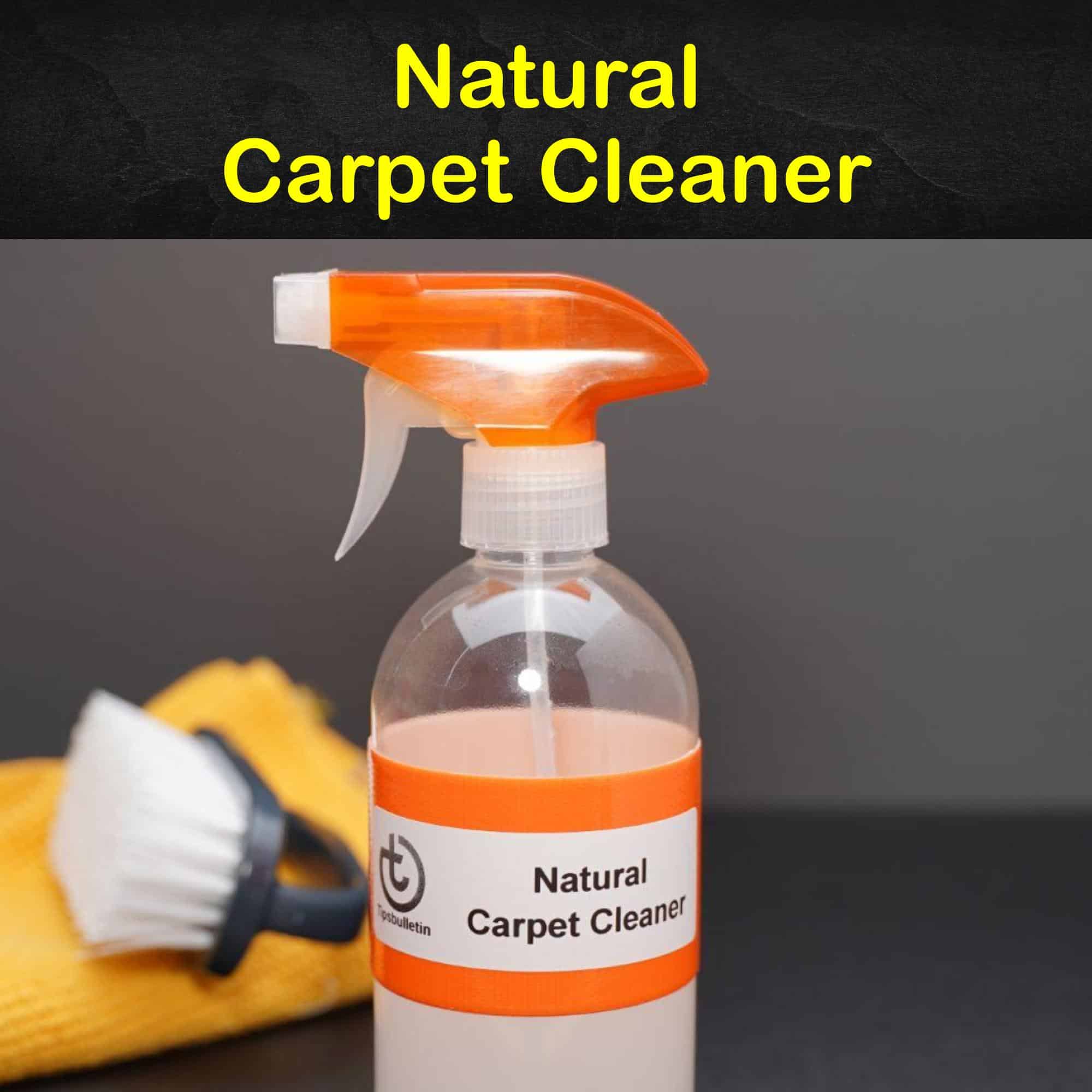 7 Simple Organic Carpet Cleaner Recipes