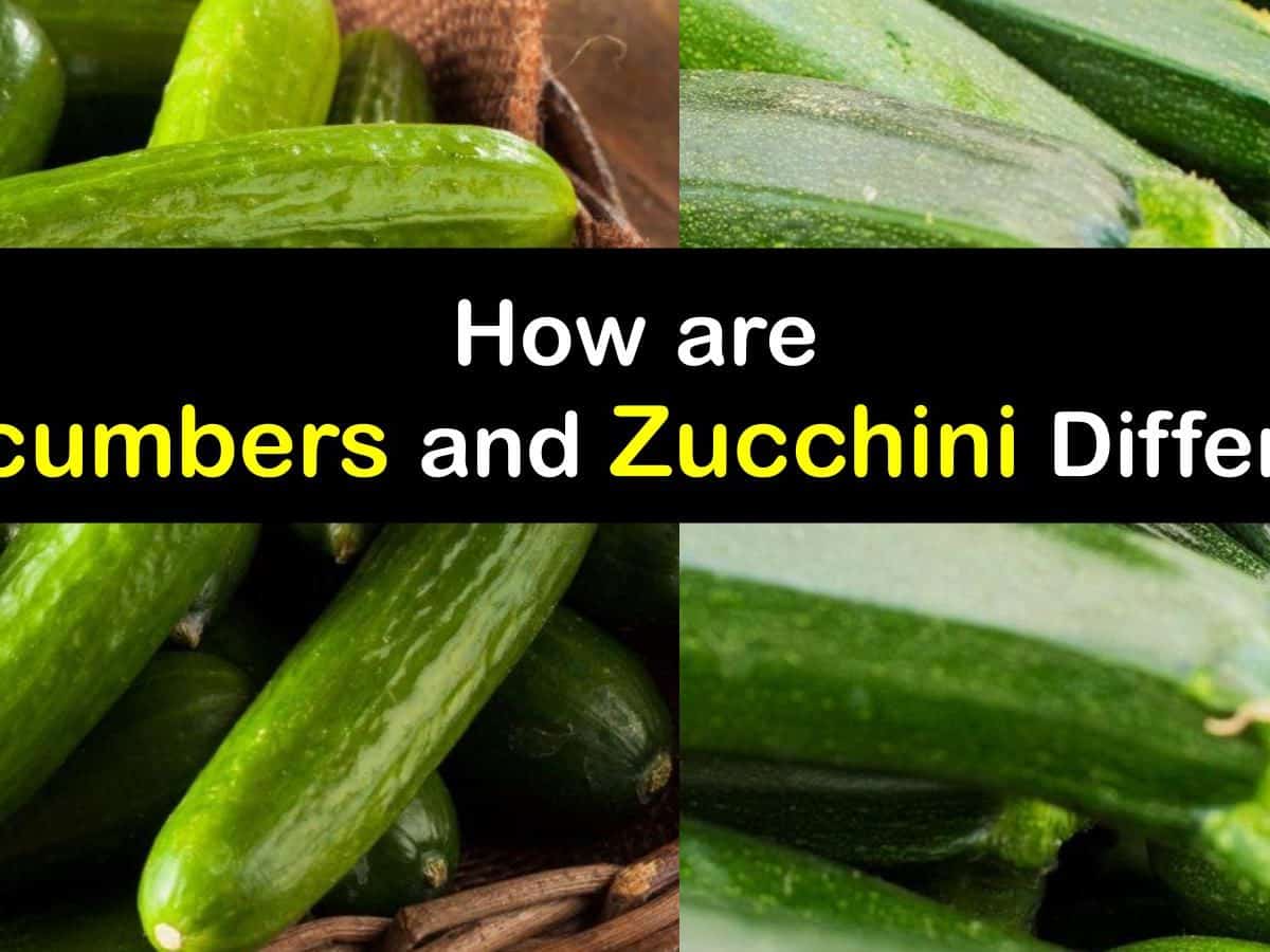 What is the difference between zucchini and cucumber