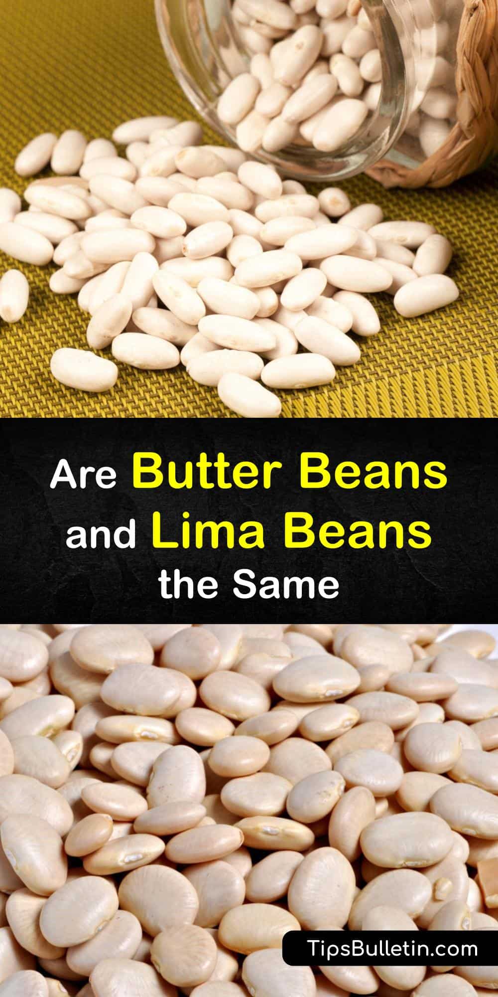 Comparing Beans Are Lima Beans and Butter Beans the Same