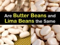 Butter Beans vs Lima Beans titleimg1