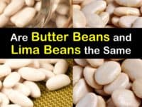 Butter Beans vs Lima Beans titleimg1