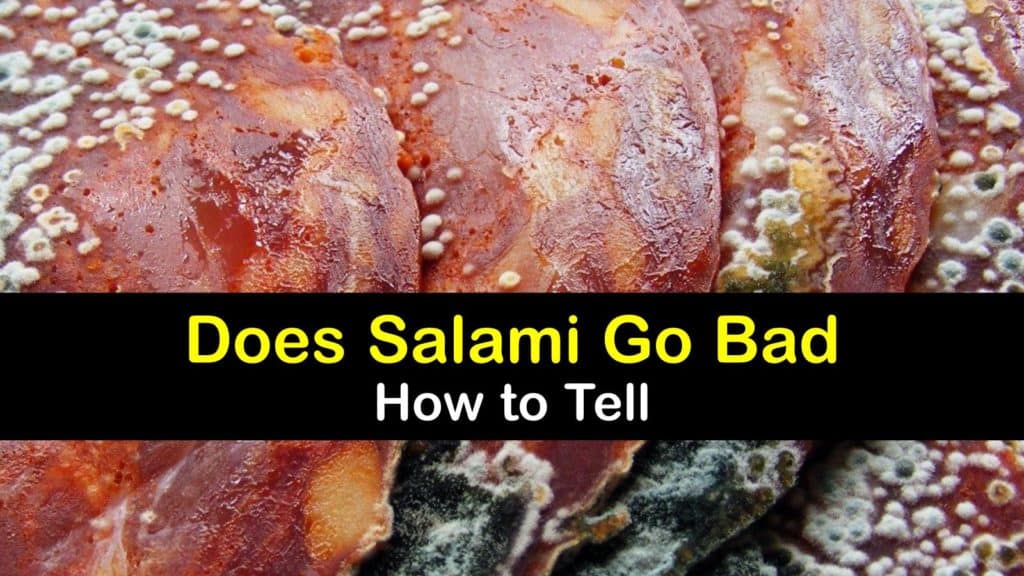 Does Salami Go Bad titleimg1