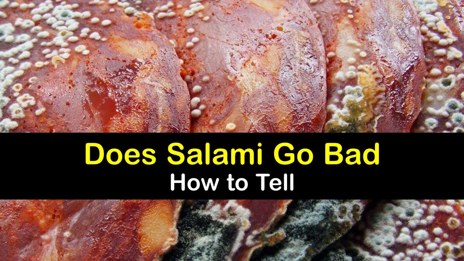 Does Salami Go Bad How to Tell