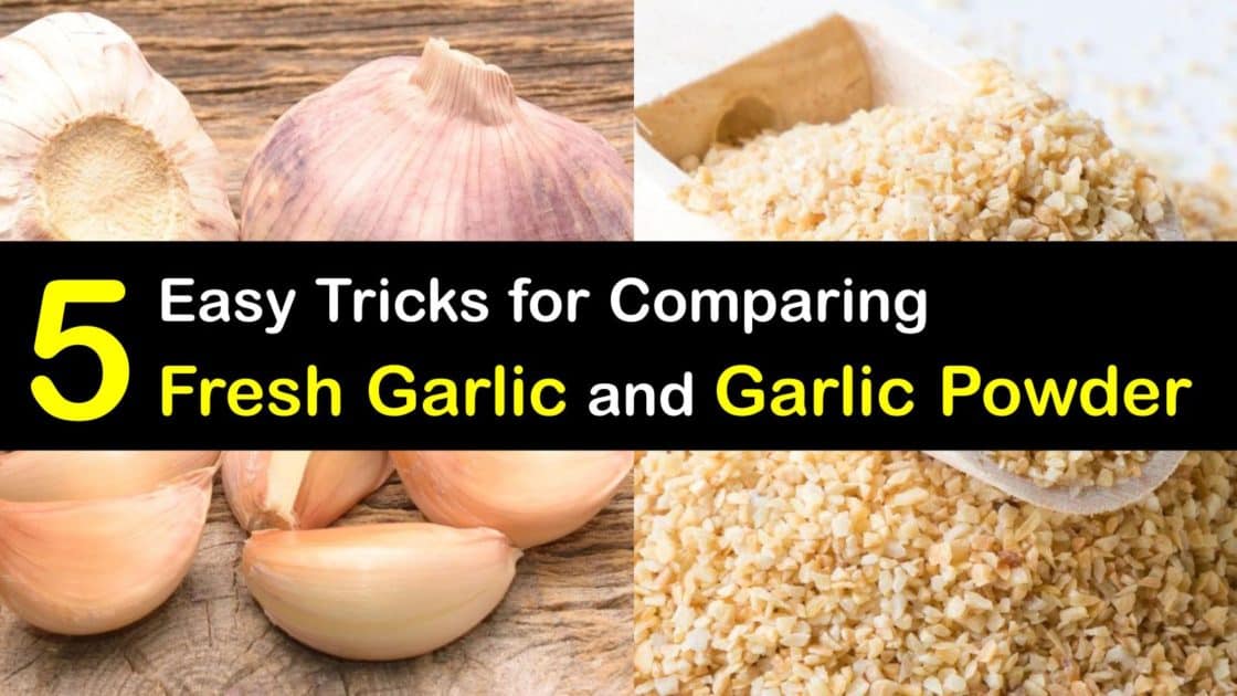 Differences Between Garlic Powder and Fresh Garlic