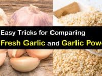 Fresh Garlic vs Garlic Powder titleimg1
