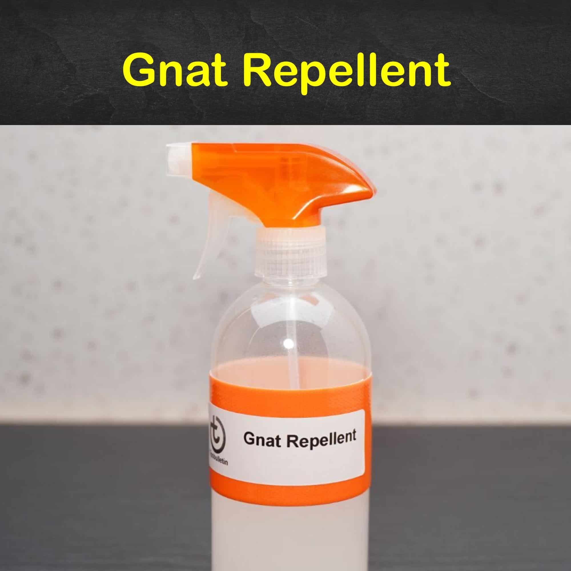 Gnat Repellent