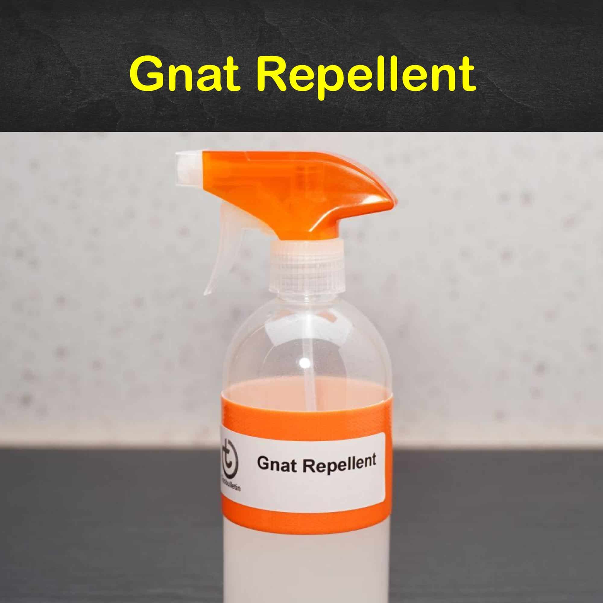 Gnat Repellent