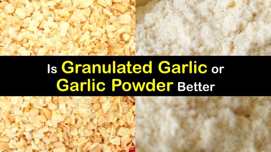 Differences Between Garlic and Garlic Powder