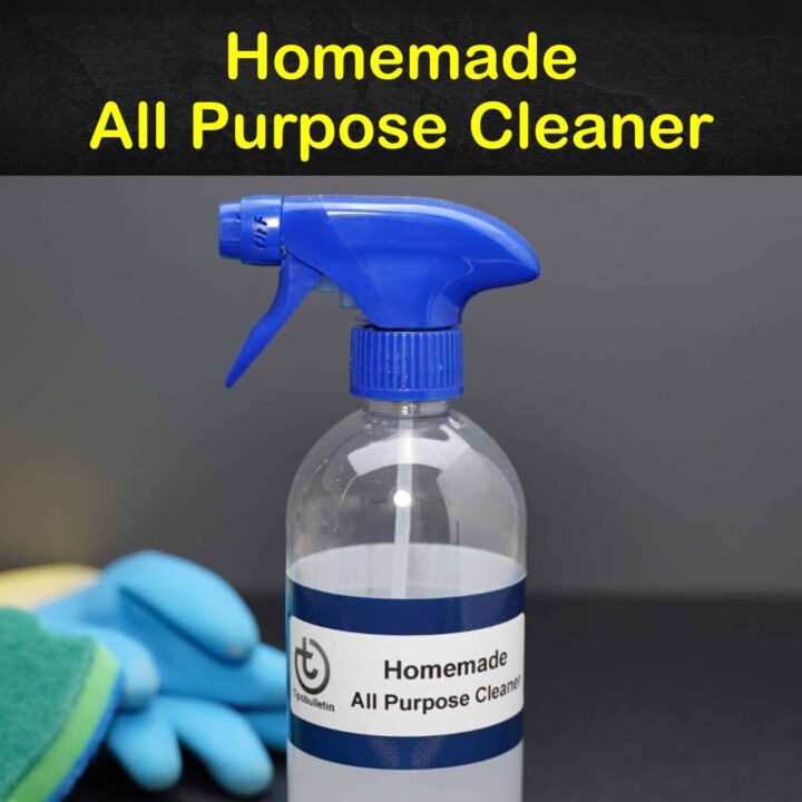 Homemade All Purpose Cleaner