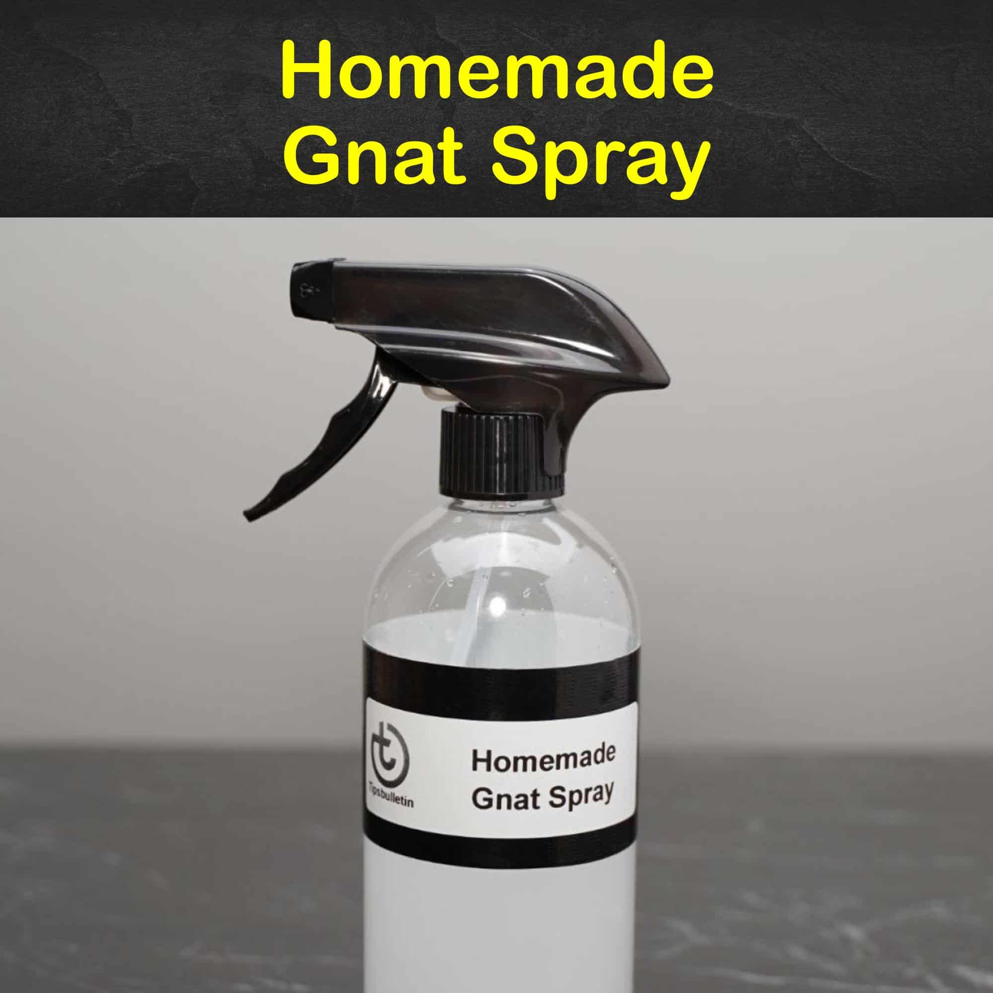 Homemade gnat spray what can i spray to get rid of gnats 