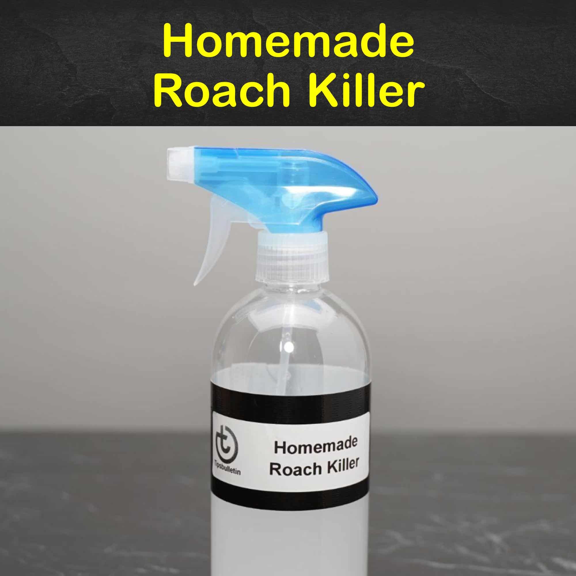 Homemade Roach Killer