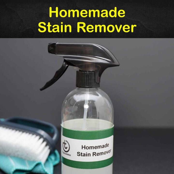 Homemade Stain Remover