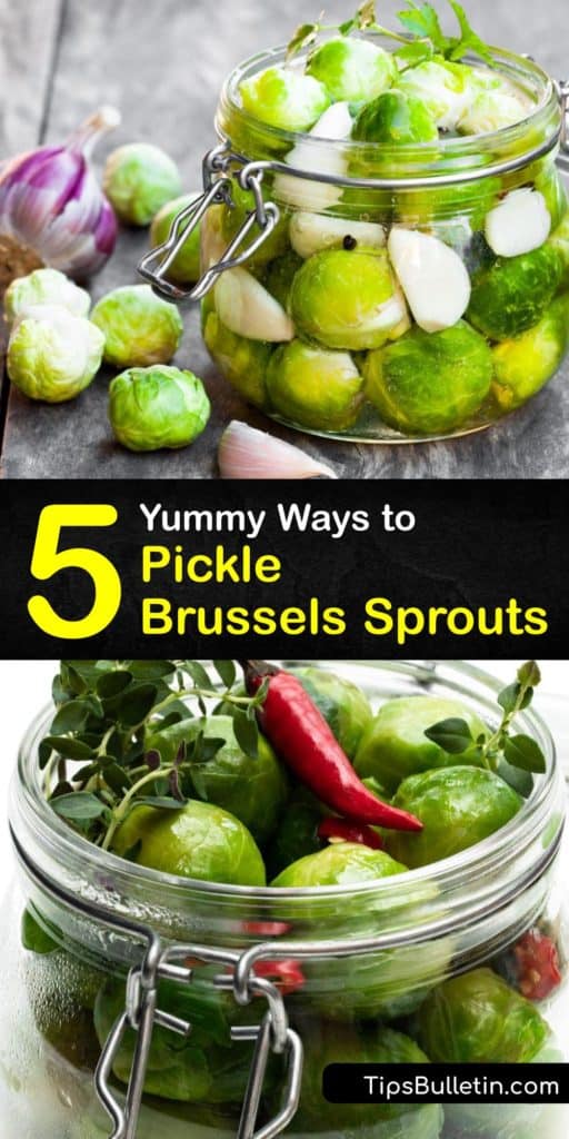 Experiment with mustard seeds, peppercorns, garlic cloves, and other fun spices when you start to pickle your Brussels sprouts in a boiling water canner. These tangy veggies are low in carbohydrates yet make the perfect appetizer or addition to a bloody mary. #pickle #brussels #sprouts