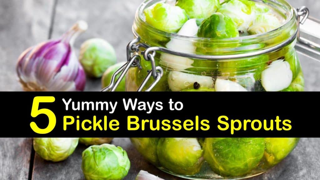 How to Pickle Brussels Sprouts titleimg1