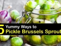 How to Pickle Brussels Sprouts titleimg1