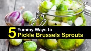 How to Pickle Brussels Sprouts titleimg1