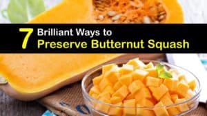 How to Preserve Butternut Squash titleimg1