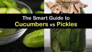 pickle vs cucumber titleimg1