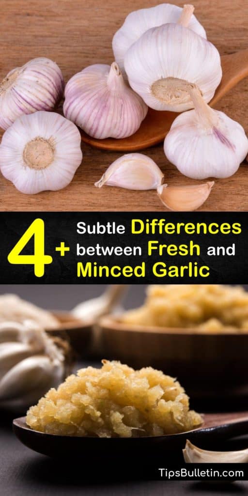 Differentiate between some of the most popular garlic flavor products like fresh garlic bulbs, peeled cloves, chopped garlic, jarred garlic, and garlic powder. Read how minced garlic differs from the cloves you put through a garlic press by using olive oil for longer storage. #fresh #minced #garlic