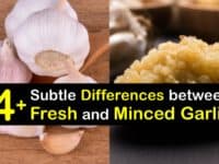 Fresh Garlic vs Minced Garlic titleimg1