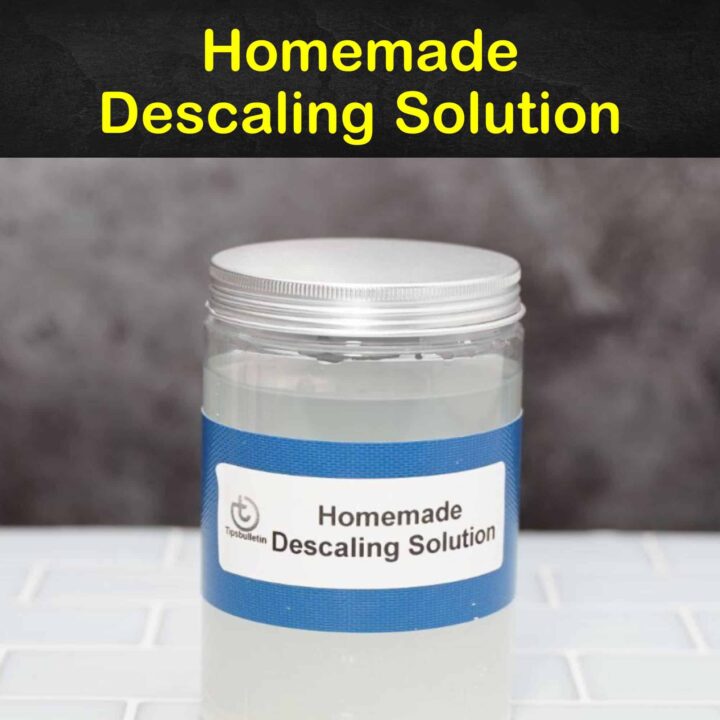 Homemade Descaling Solution