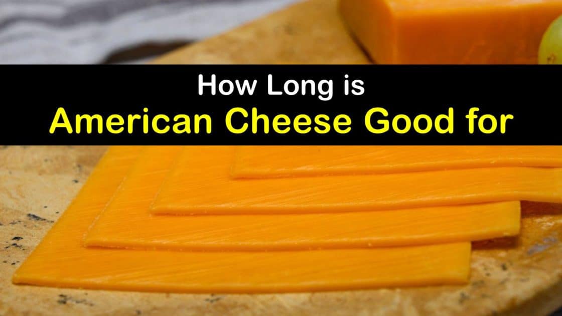 Lifespan of American Cheese How Long does American Cheese Last