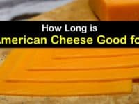 How Long is American Cheese Good for titleimg1