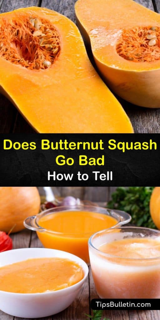 Learn how long butternut squash is good for and where to store it for the longest shelf life. Keep whole, raw winter squash at room temperature in a dark place, refrigerate it after cutting into the rind, and freeze the puree for longer storage. #butternut #squash #fresh #spoiled