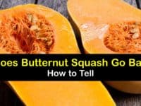 How Long is Butternut Squash Good for titleimg1