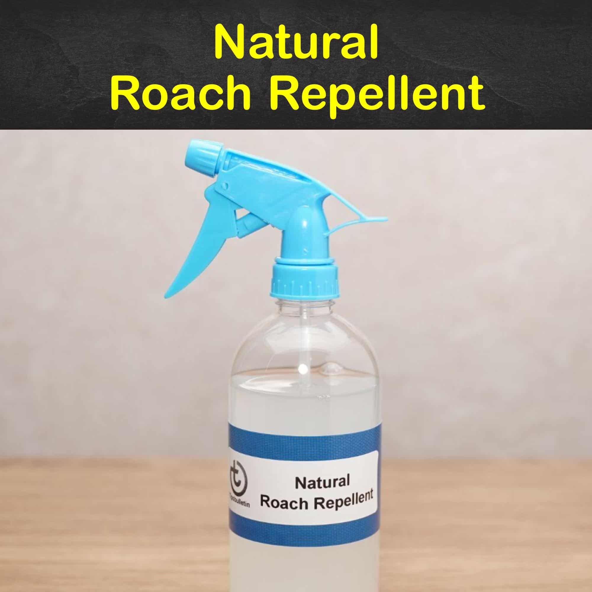 Natural Roach Repellent
