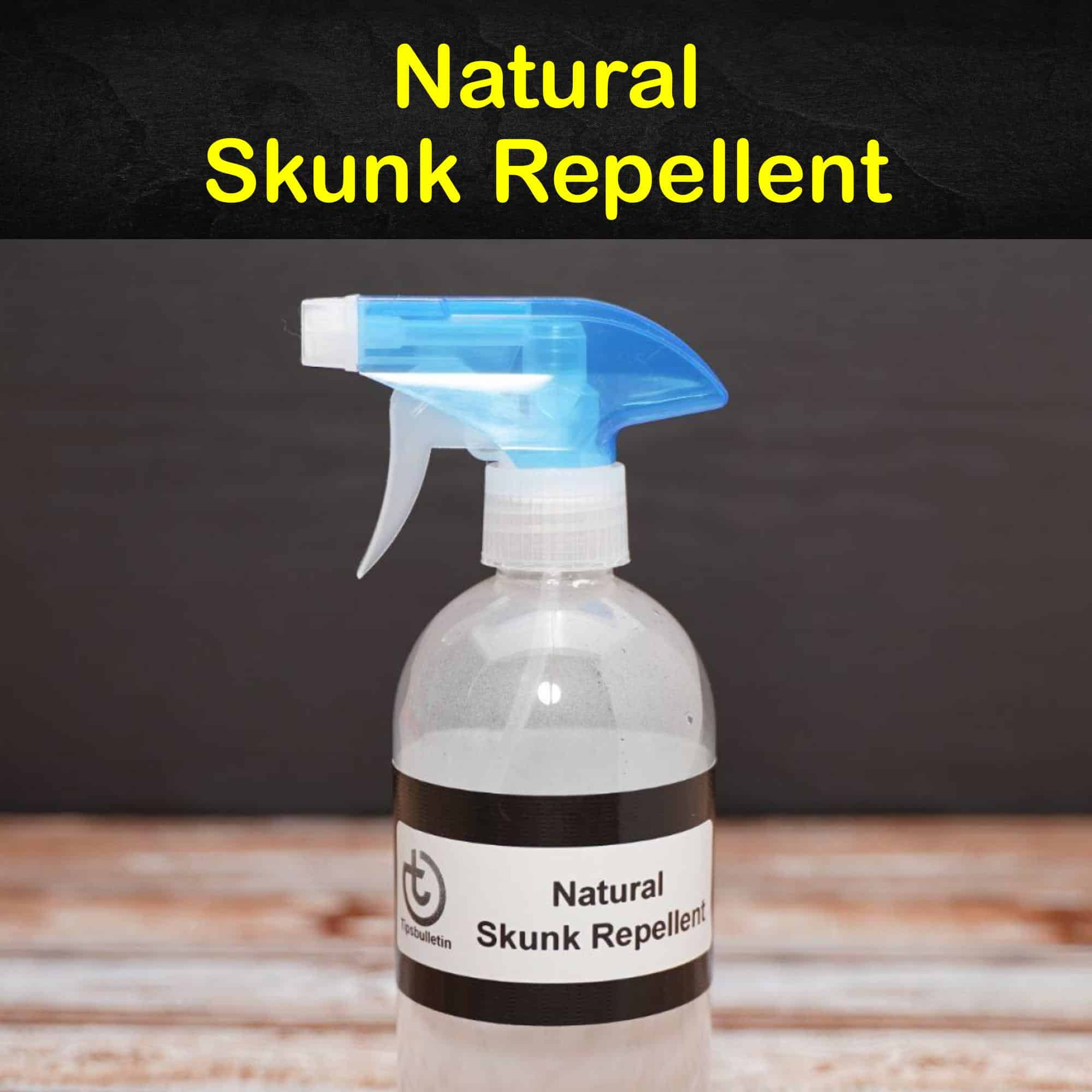 Natural Skunk Repellent