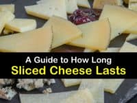 How Long does Sliced Cheese Last titleimg1