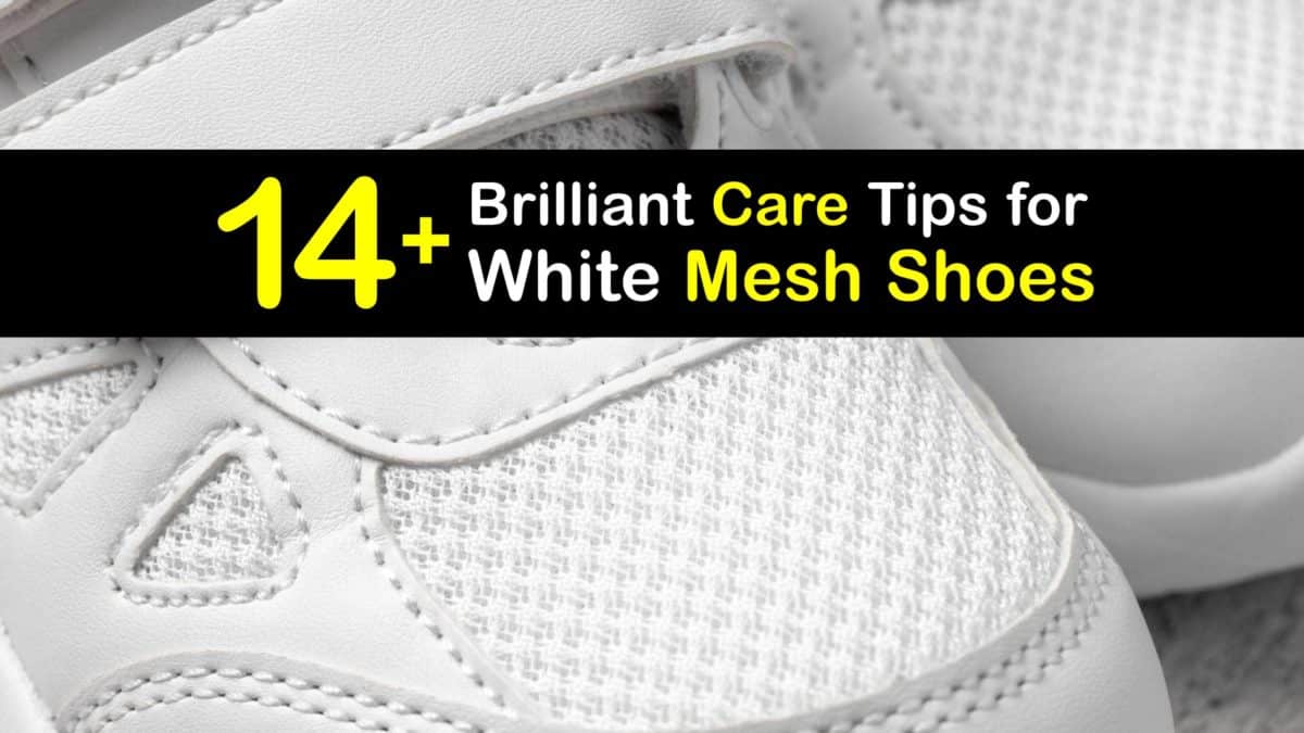 schandaal Dankzegging Wijden White Mesh Shoe Care - Smart Guide for Cleaning White Mesh Sneakers