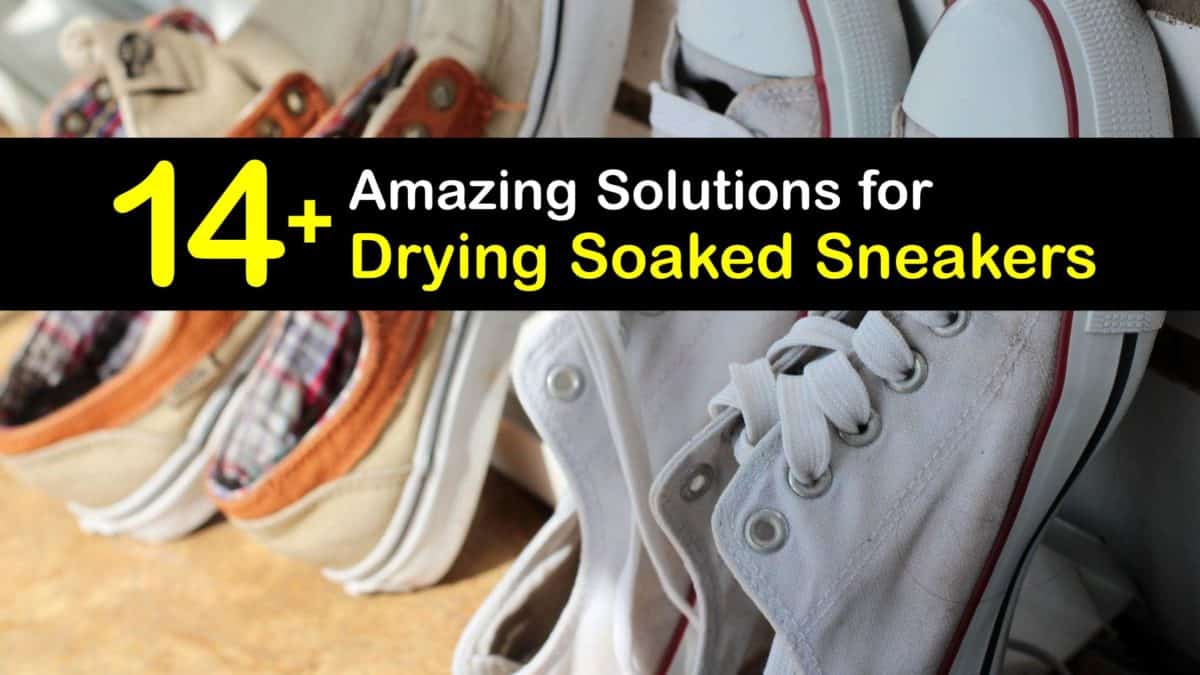 Sneaker Drying Strategies Stunning Ways to Dry Wet Sneakers