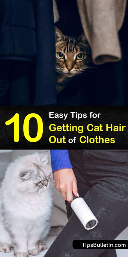 Cat hair builds up on clothes, even after they've been through the washing machine and a dryer with fabric softener and a clean lint trap. Learn how to remove hair quickly with a dryer sheet, lint roller, and other easy ideas at home. #remove #cat #hair #clothes